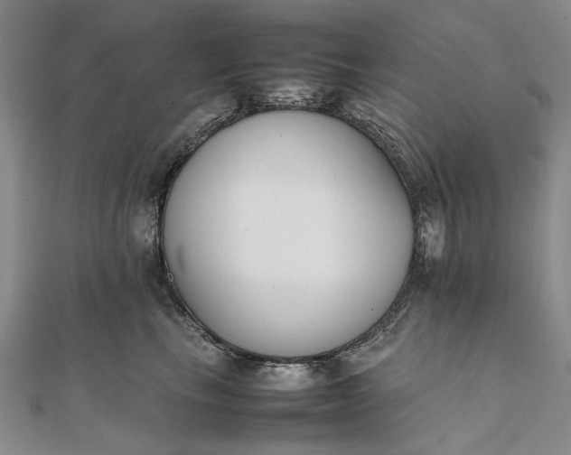 X0000111850665200908061315