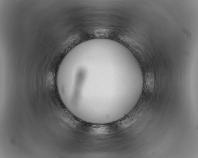 X0000111850667200908061315