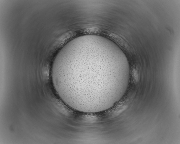 X0000111850668200908061315