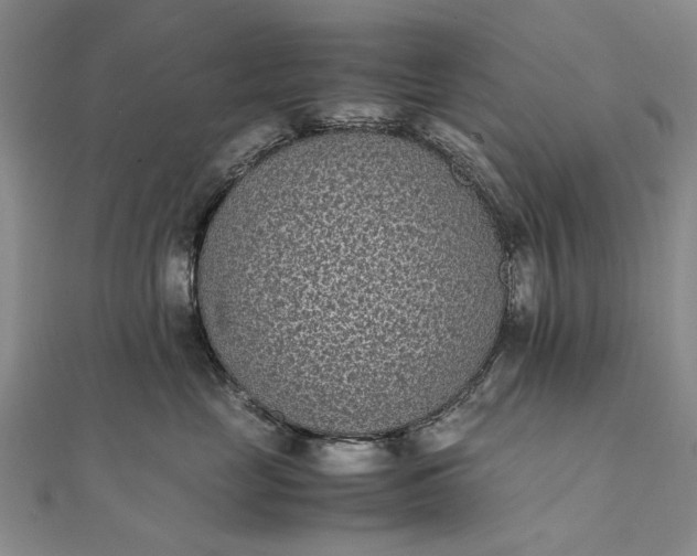 X0000111850669200908061315