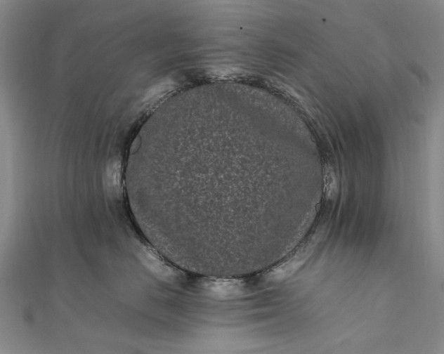 X0000111850670200908061315