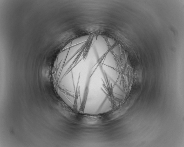 X0000111850671200908061315