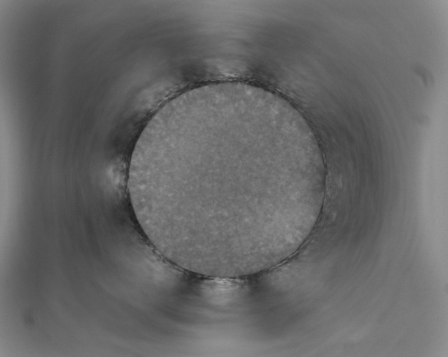 X0000111850672200908061315