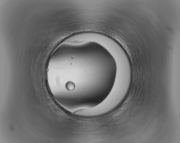 X0000111850673200908061315