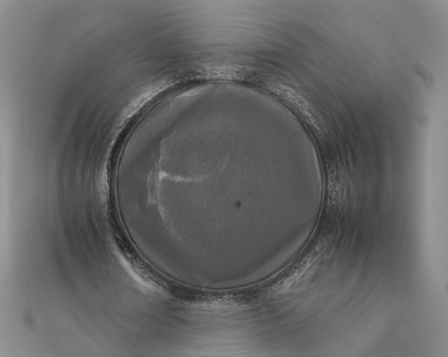 X0000111850674200908061315