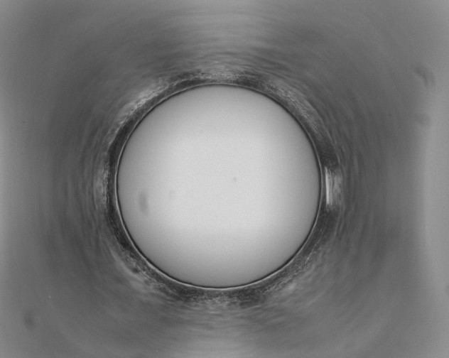 X0000111850675200908061315