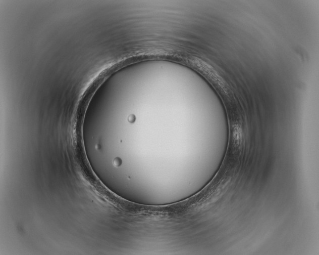 X0000111850676200908061315