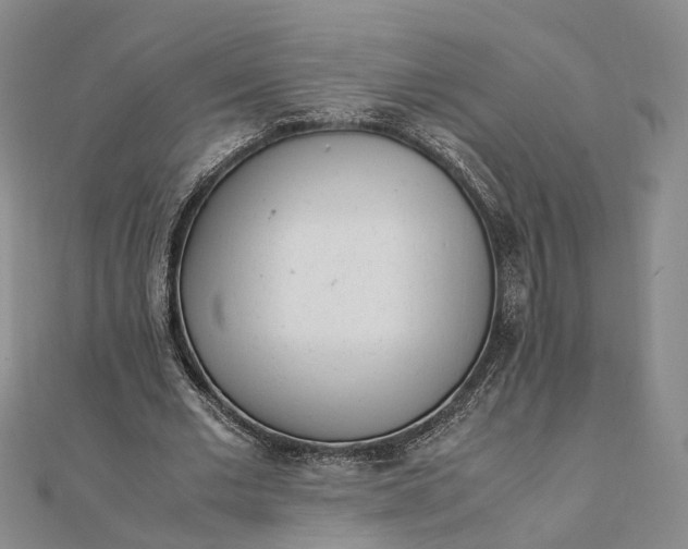 X0000111850677200908061315