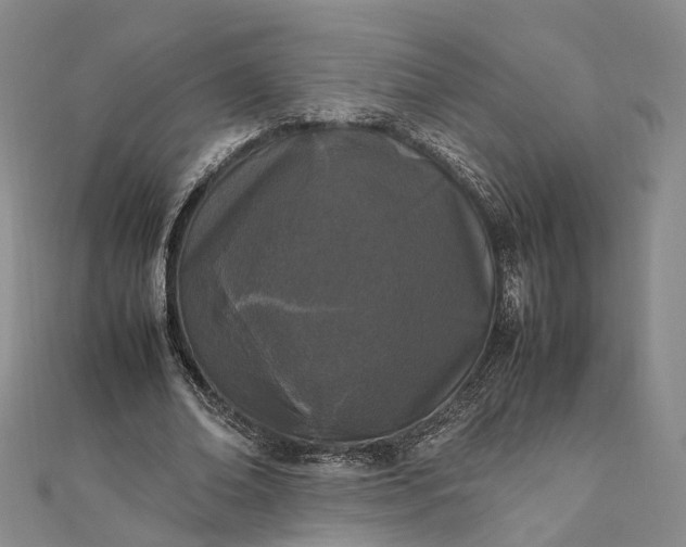 X0000111850678200908061315