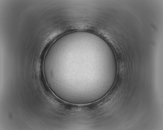 X0000111850679200908061315