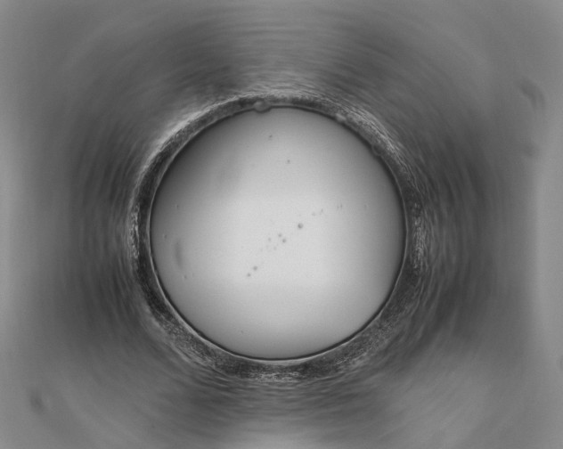 X0000111850680200908061315