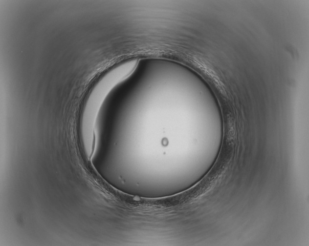 X0000111850681200908061315