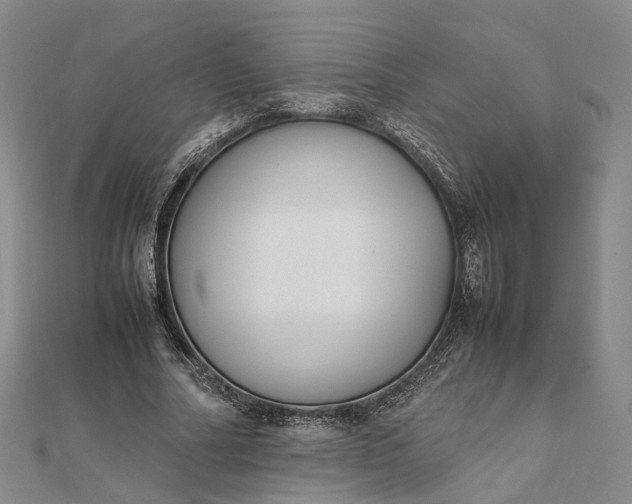 X0000111850682200908061315