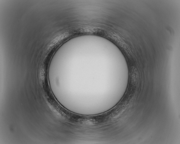 X0000111850683200908061315