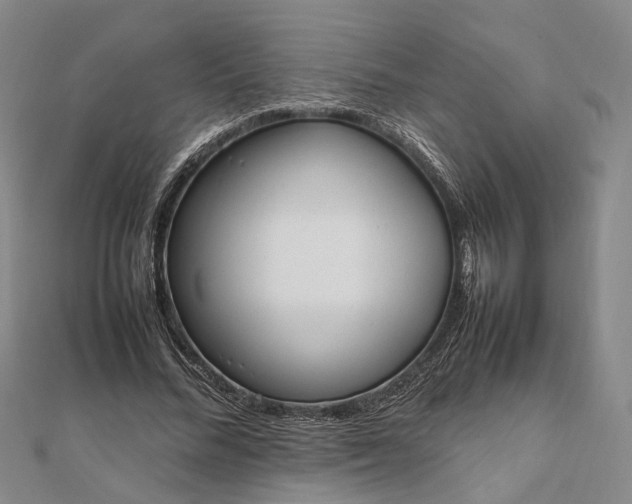 X0000111850684200908061315