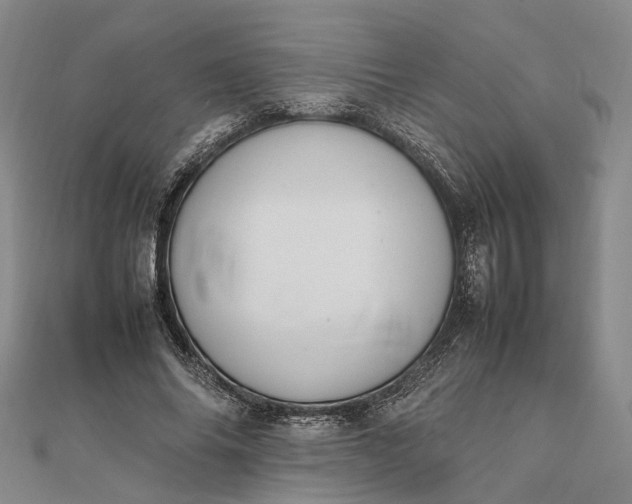 X0000111850686200908061315