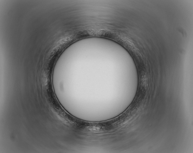 X0000111850687200908061315