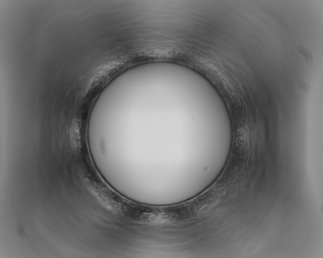 X0000111850688200908061315