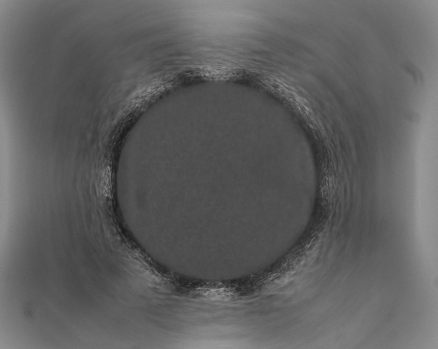 X0000111850689200908061315