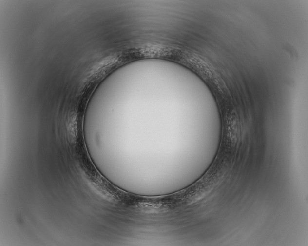 X0000111850690200908061315