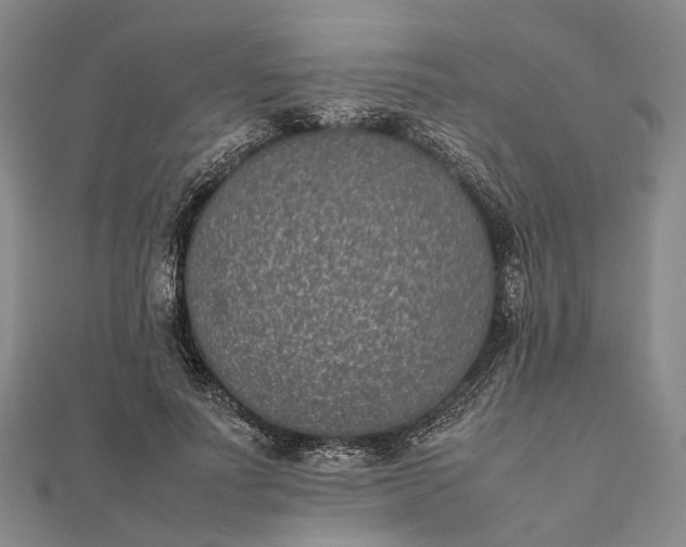 X0000111850691200908061315