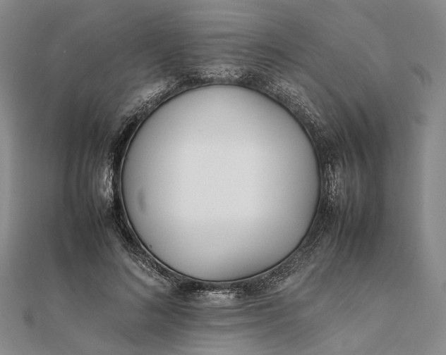 X0000111850692200908061315