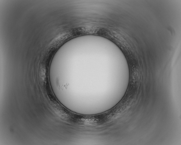 X0000111850693200908061315