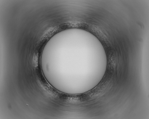 X0000111850694200908061314