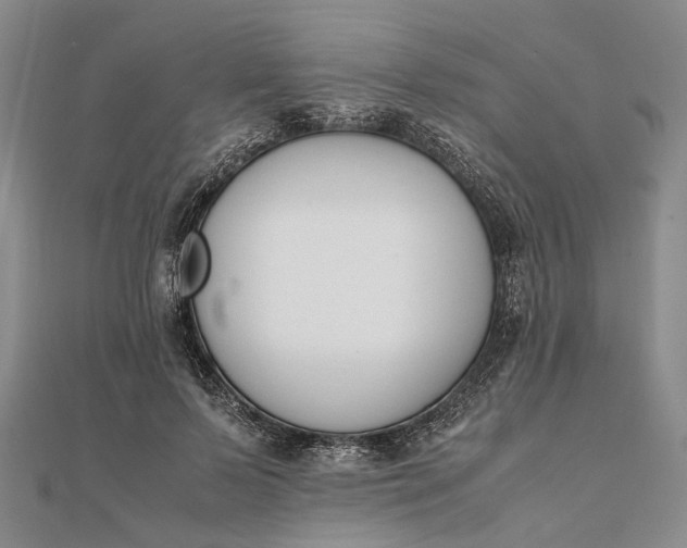 X0000111850695200908061314