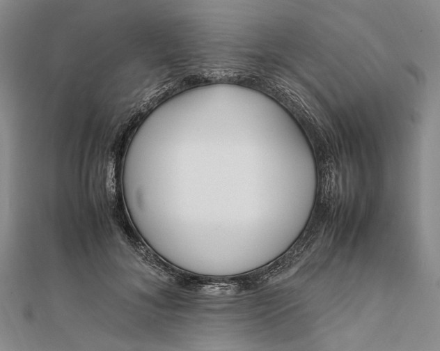 X0000111850700200908061314