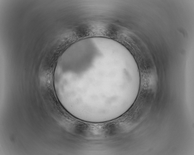 X0000111850701200908061314