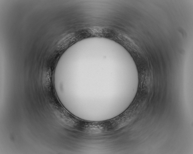 X0000111850702200908061314