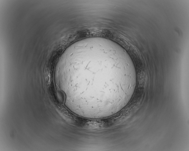 X0000111850703200908061314