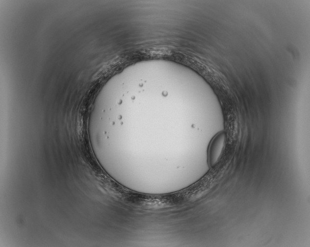 X0000111850704200908061314