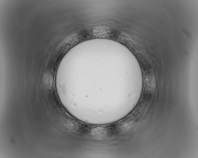 X0000111850705200908061314