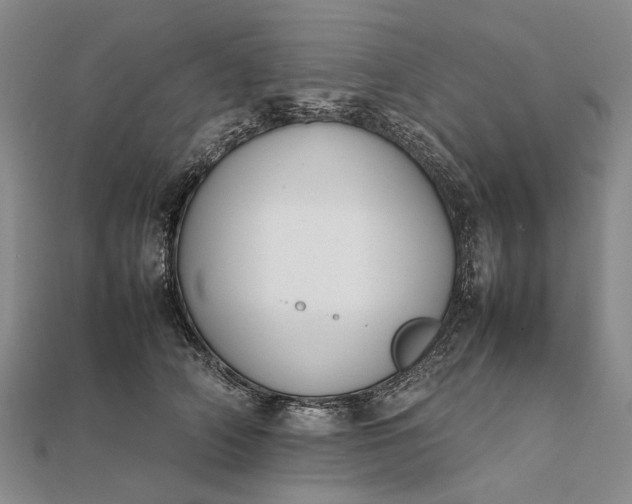 X0000111850706200908061314