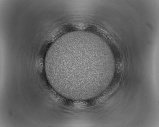 X0000111850707200908061314