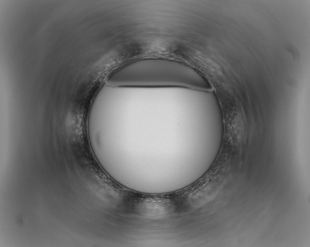 X0000111850708200908061314