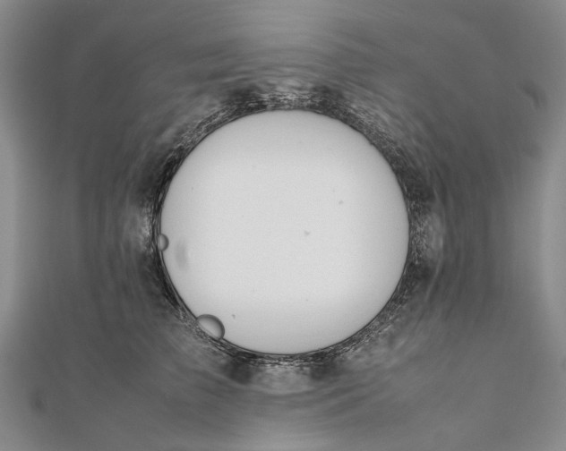 X0000111850709200908061314