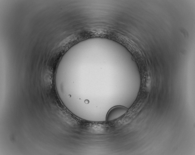 X0000111850710200908061314