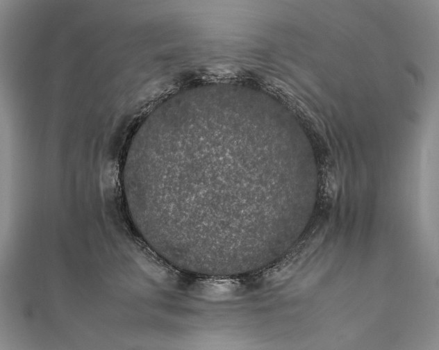 X0000111850711200908061314