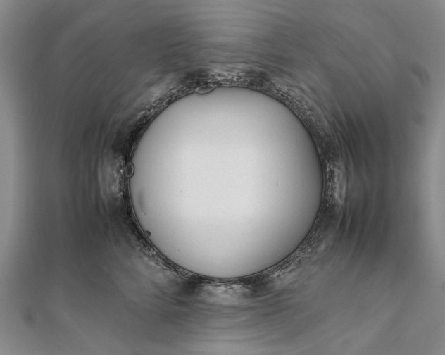 X0000111850712200908061314