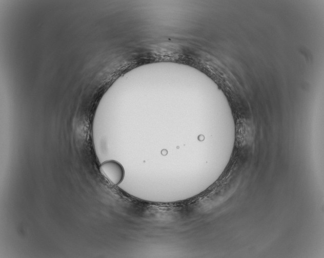 X0000111850713200908061314