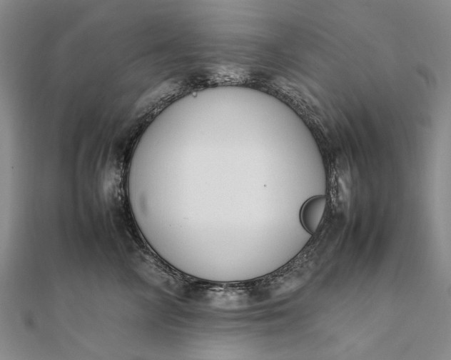 X0000111850714200908061314