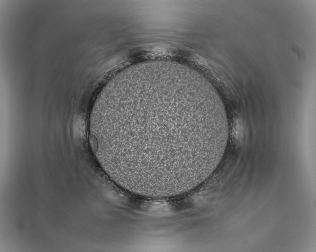 X0000111850715200908061314