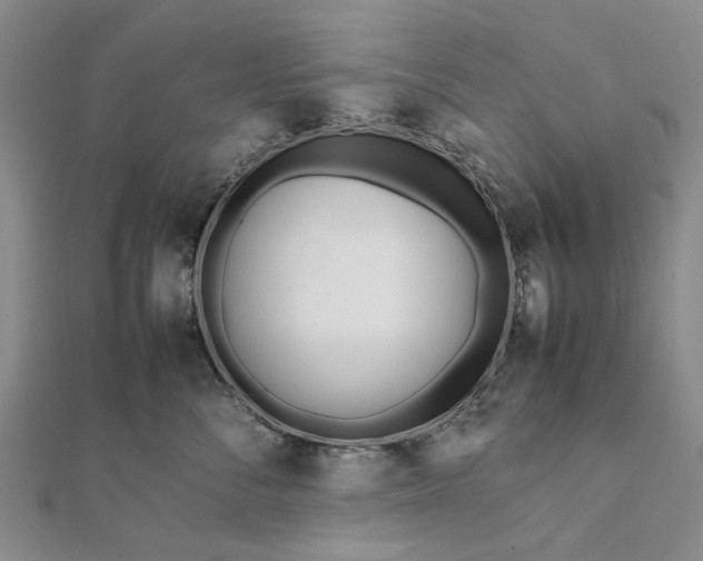 X0000111850716200908061314