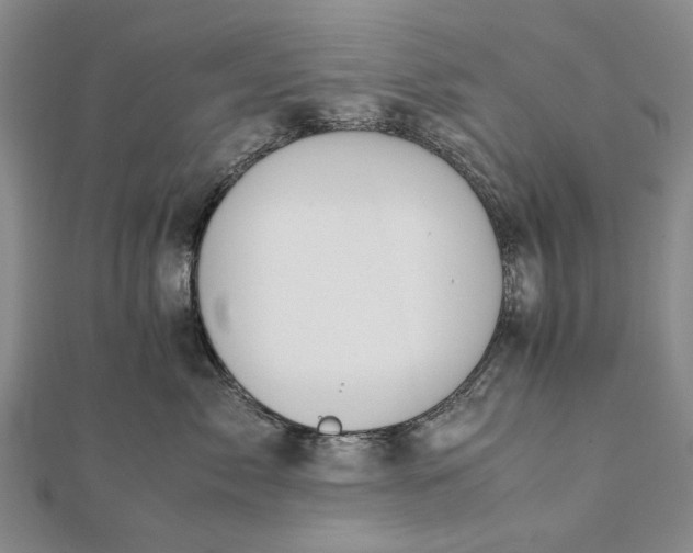 X0000111850717200908061314