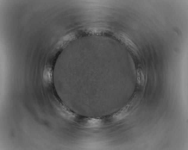 X0000111850718200908061314