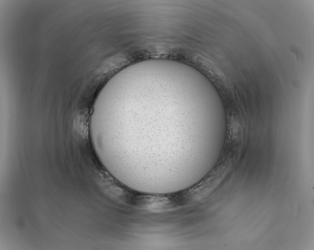 X0000111850719200908061314