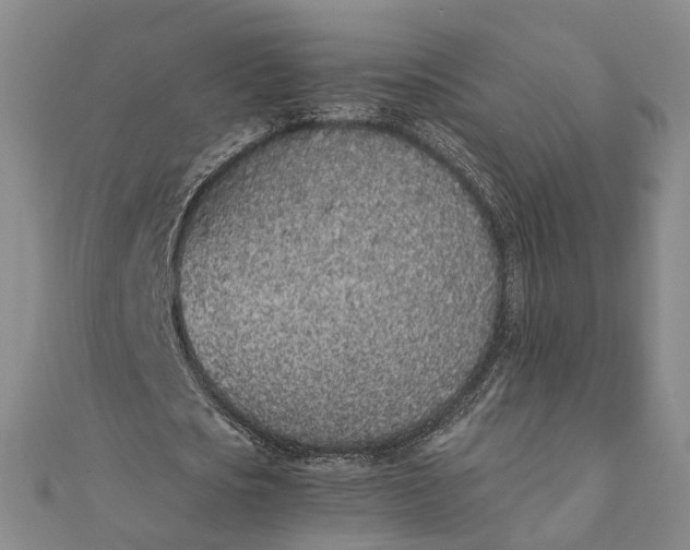 X0000111850721200908061314